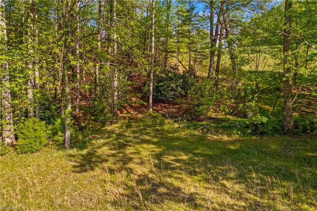 360 Orchard Road Moravian Falls, NC 28654 - Photo 49 of 50