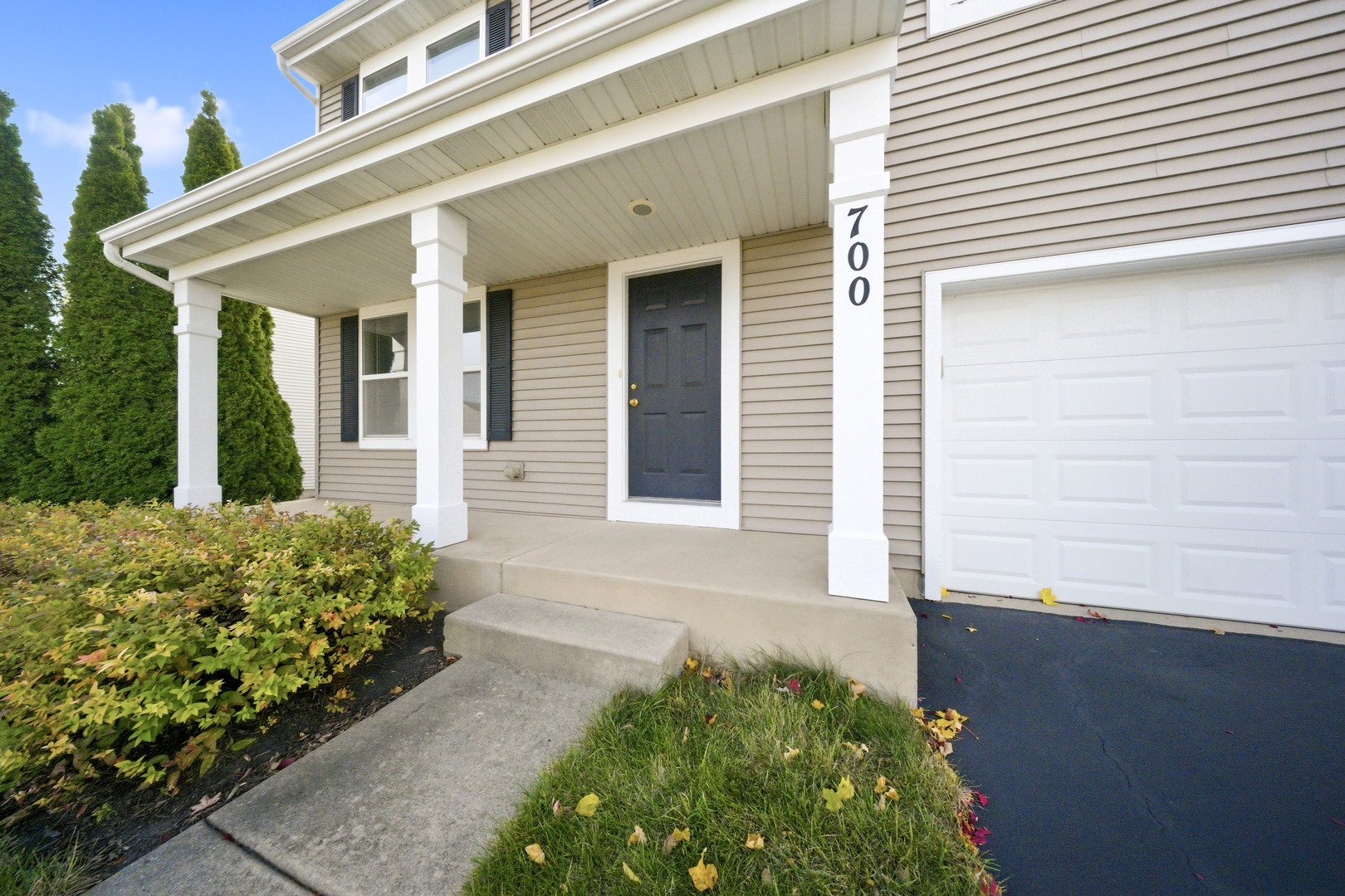 700 Brighton Drive Pingree Grove, IL 60140 - Photo 2 of 41