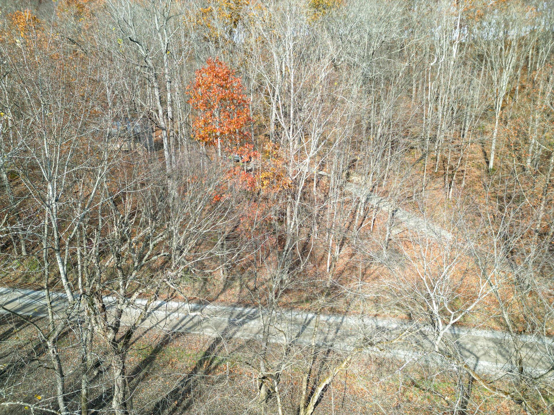 0 Keystone Road, Unit CREEKVIEW CABIN) Vinton, OH 45686 - Photo 88 of 95 CT-88