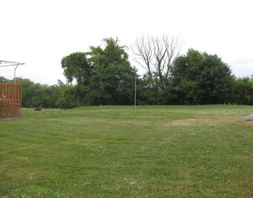 3191 Robinson Run Road McDonald, PA 15057 - Photo 8 of 18 Yard/Garden.