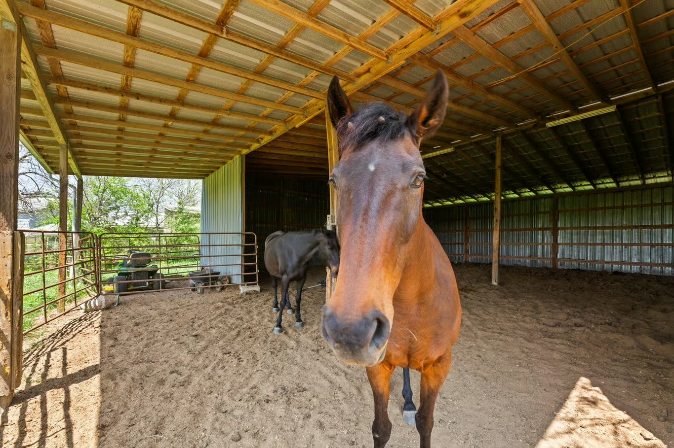 13484 Avis Road Dale, TX 78616 - Photo 7 of 39