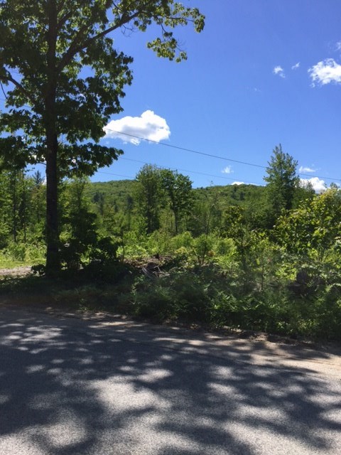 0 Lost Mile Road Parsonsfield, ME 04047 - Photo 2 of 5