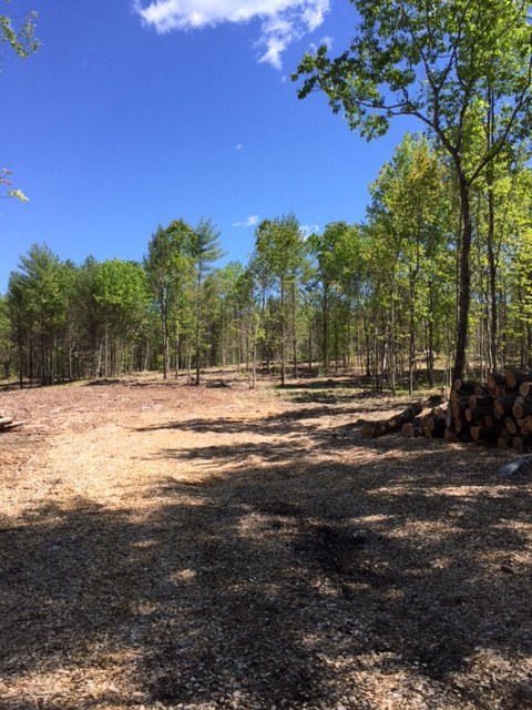 0 Lost Mile Road Parsonsfield, ME 04047 - Photo 3 of 5