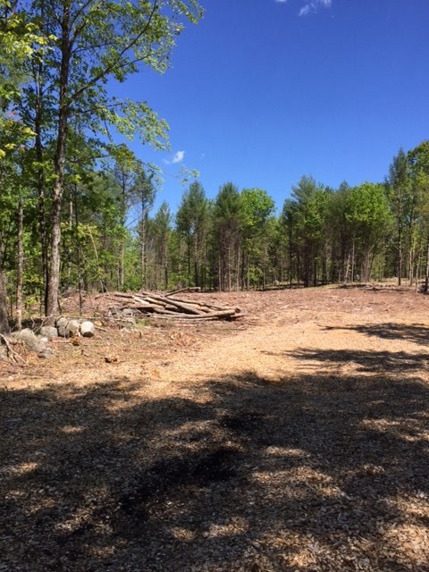 0 Lost Mile Road Parsonsfield, ME 04047 - Photo 4 of 5