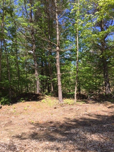 0 Lost Mile Road Parsonsfield, ME 04047 - Photo 5 of 5