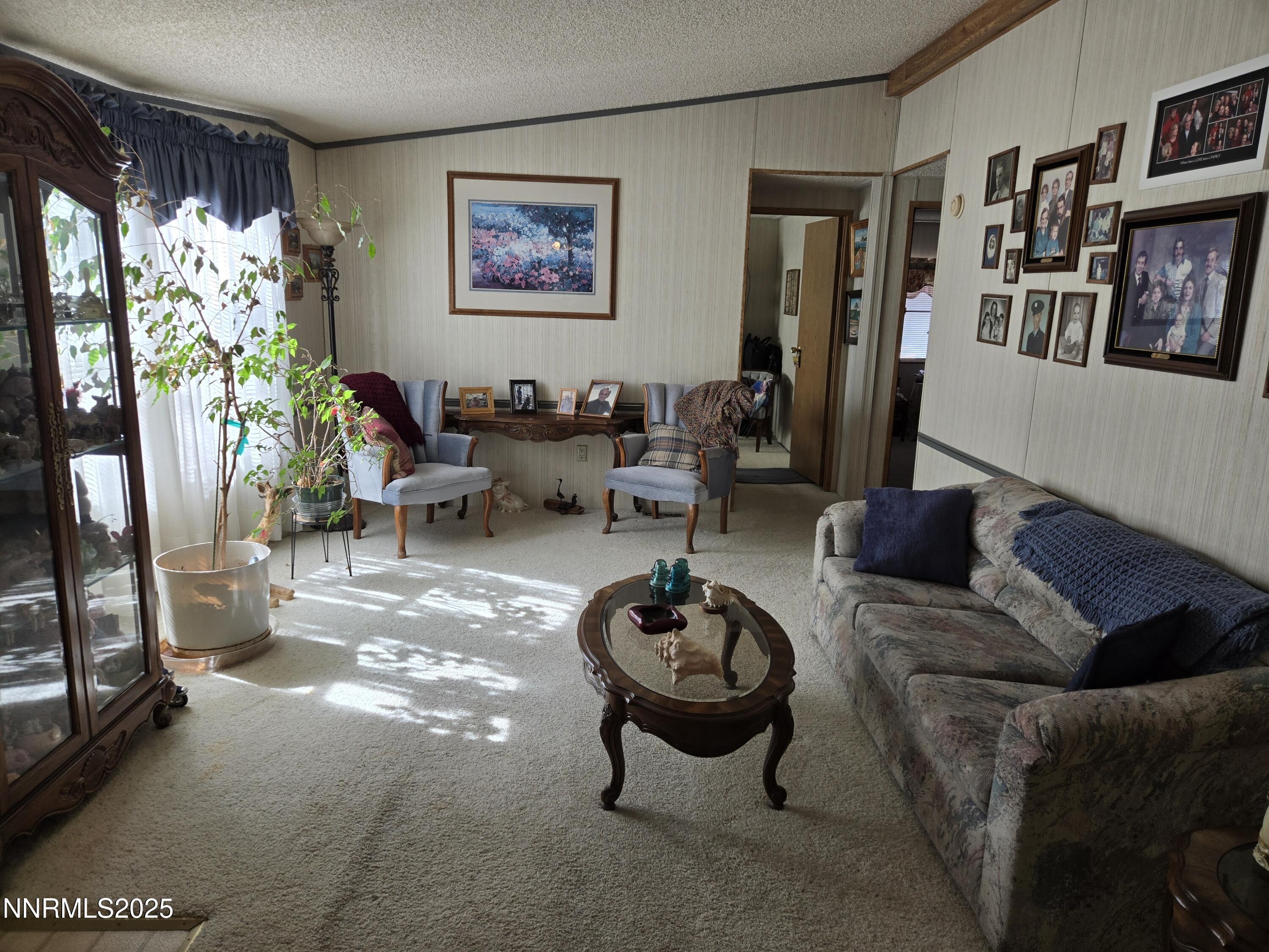 1550 Topaz Ranch Drive Wellington, NV 89444 - Photo 12 of 20 1550 living