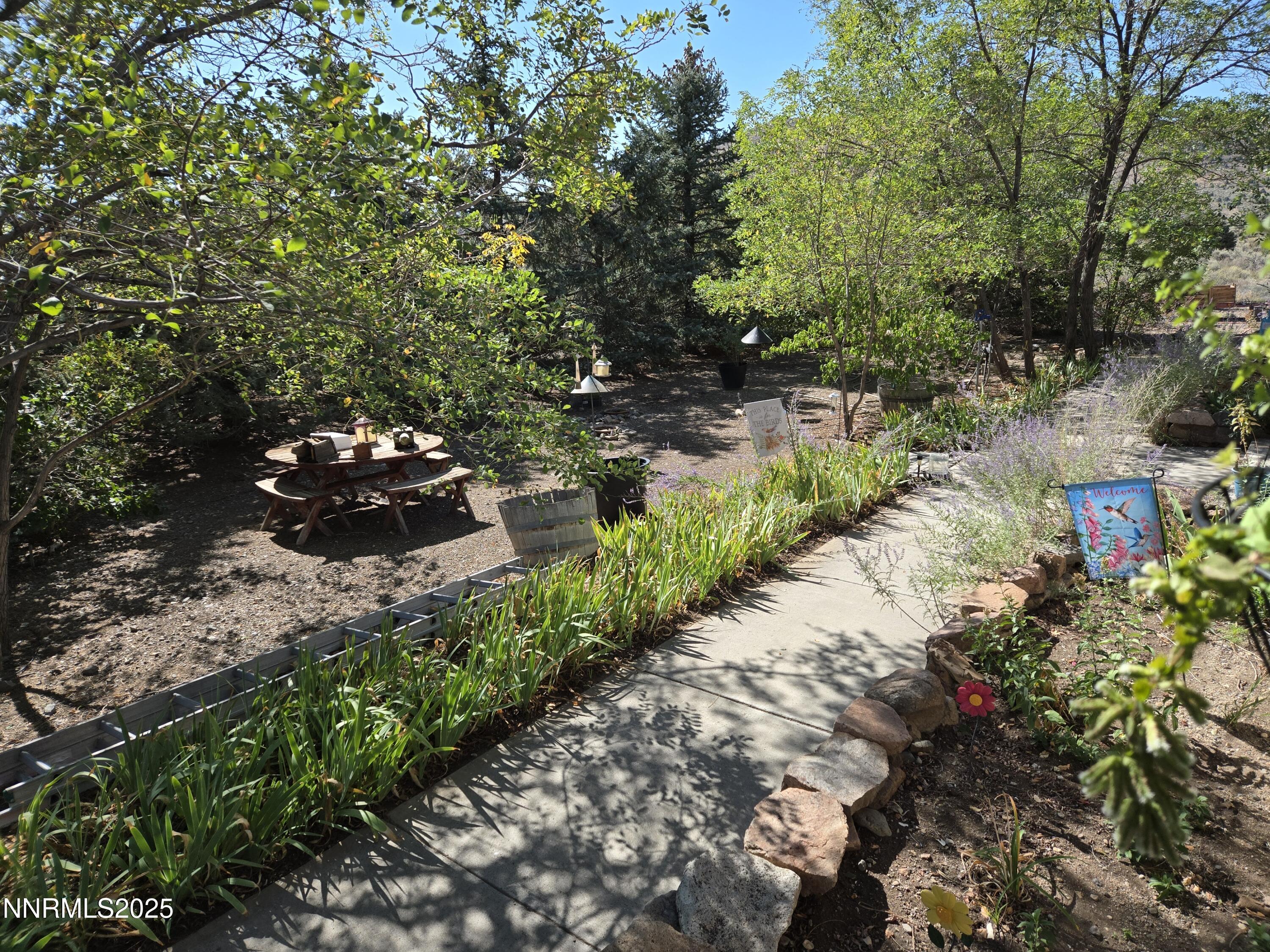 1550 Topaz Ranch Drive Wellington, NV 89444 - Photo 6 of 20 1550 front yard