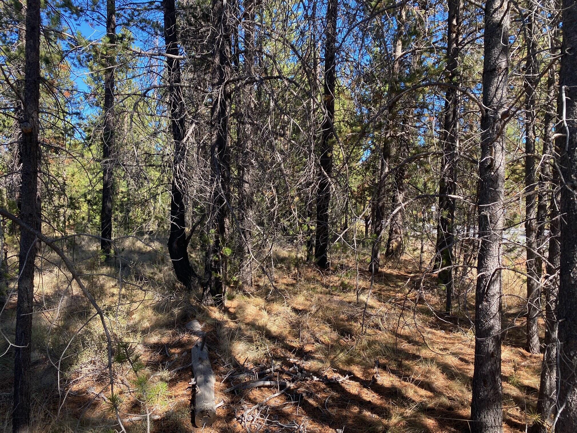 17266 Tholstrup Road Bend, OR 97707 - Photo 6 of 11 image9