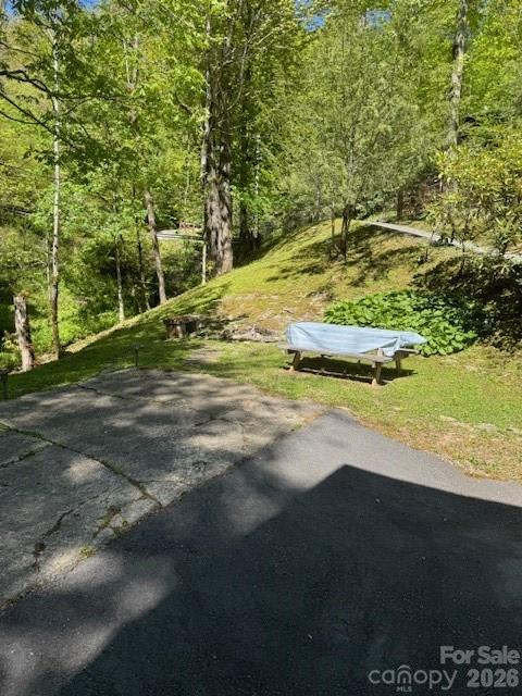 918 Plott Balsam Road Maggie Valley, NC 28751 - Photo 8 of 30