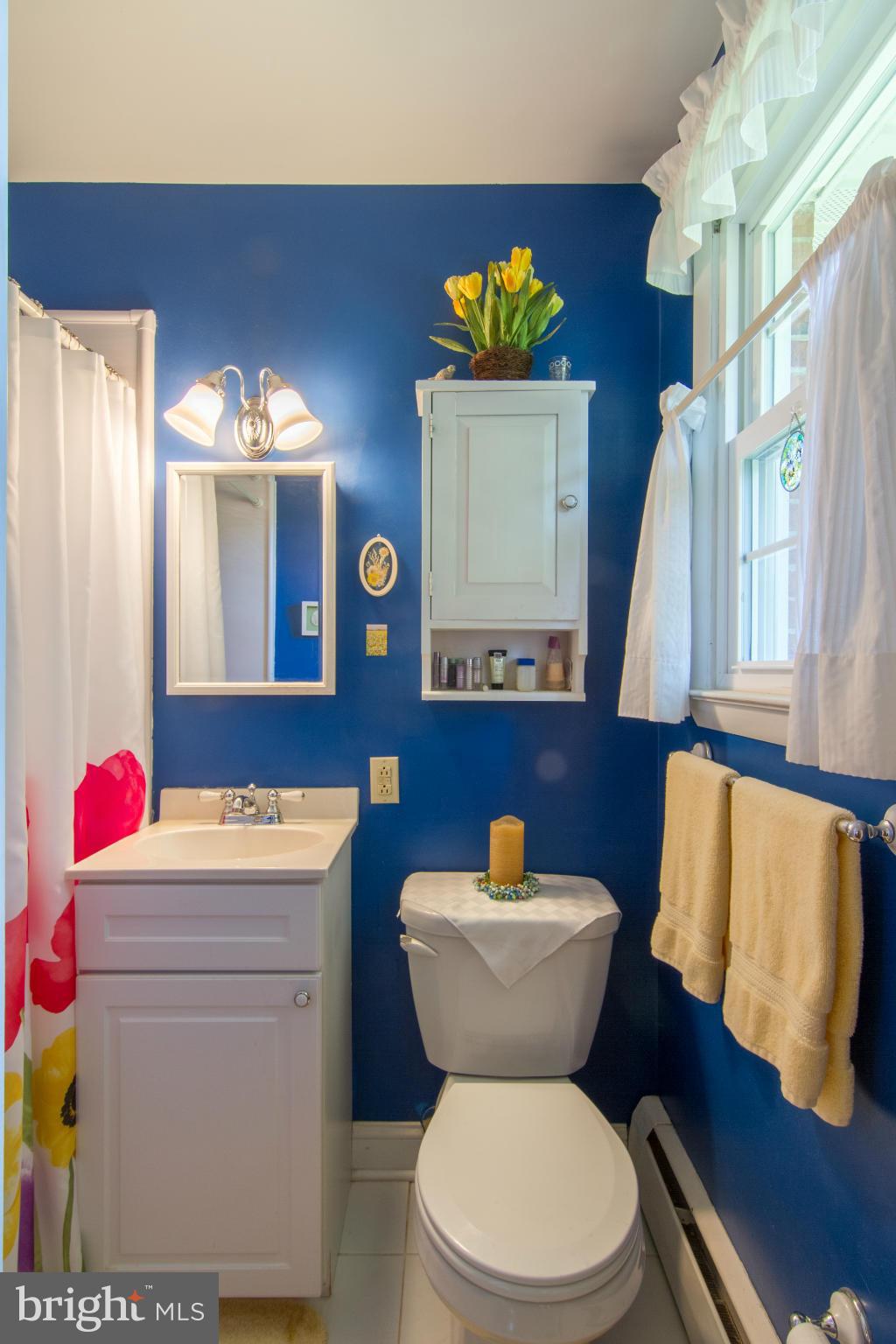 4609 Carroll Manor Road Baldwin, MD 21013 - Photo 20 of 29 Bath (Master)