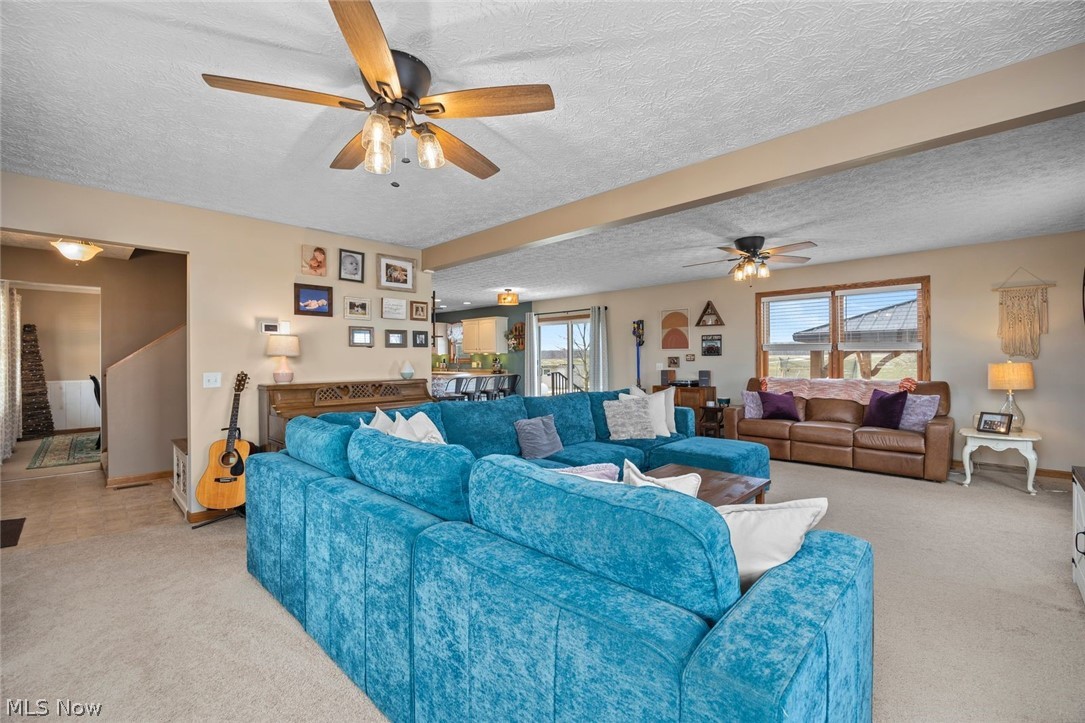 4273 Old State Road Willard, OH 44890 - Photo 15 of 50 Living area featuring ceiling fan, a textured ceiling, and carpet