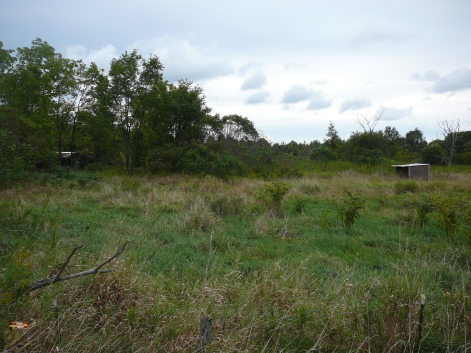 12262 Harder Road Three Rivers, MI 49093 - Photo 1 of 5 P1180516