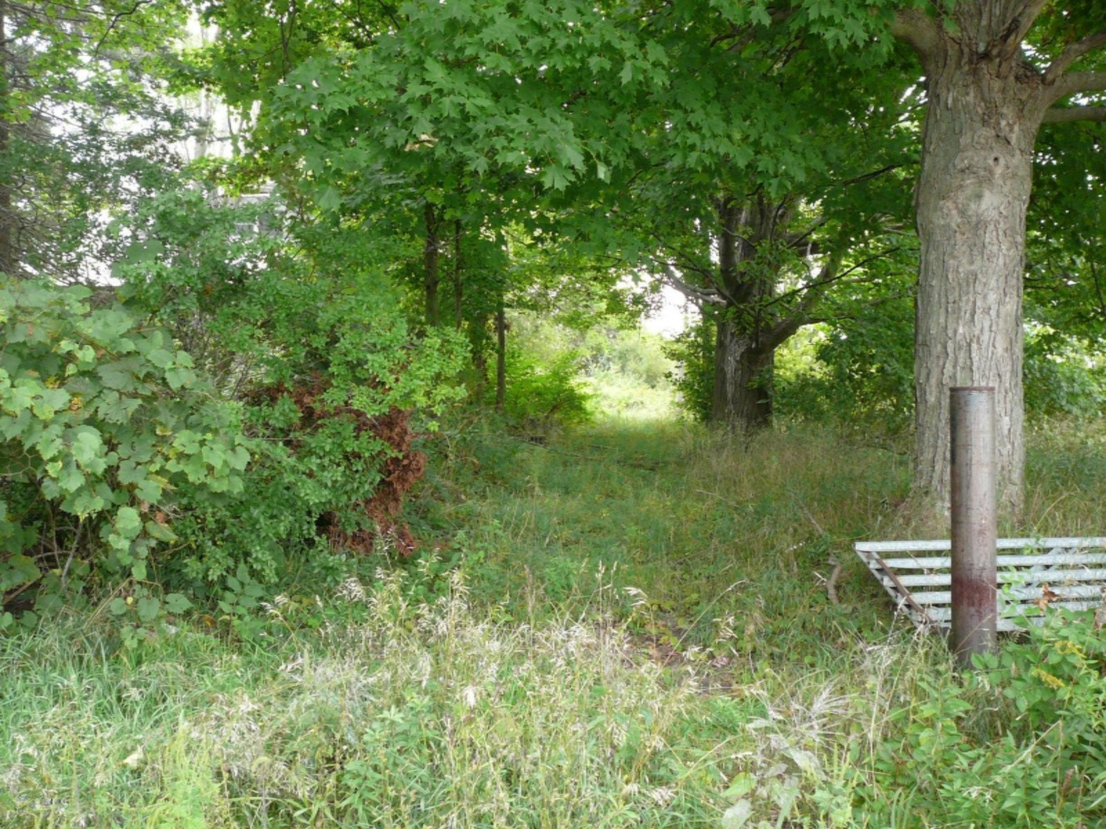 12262 Harder Road Three Rivers, MI 49093 - Photo 3 of 5 P1180514