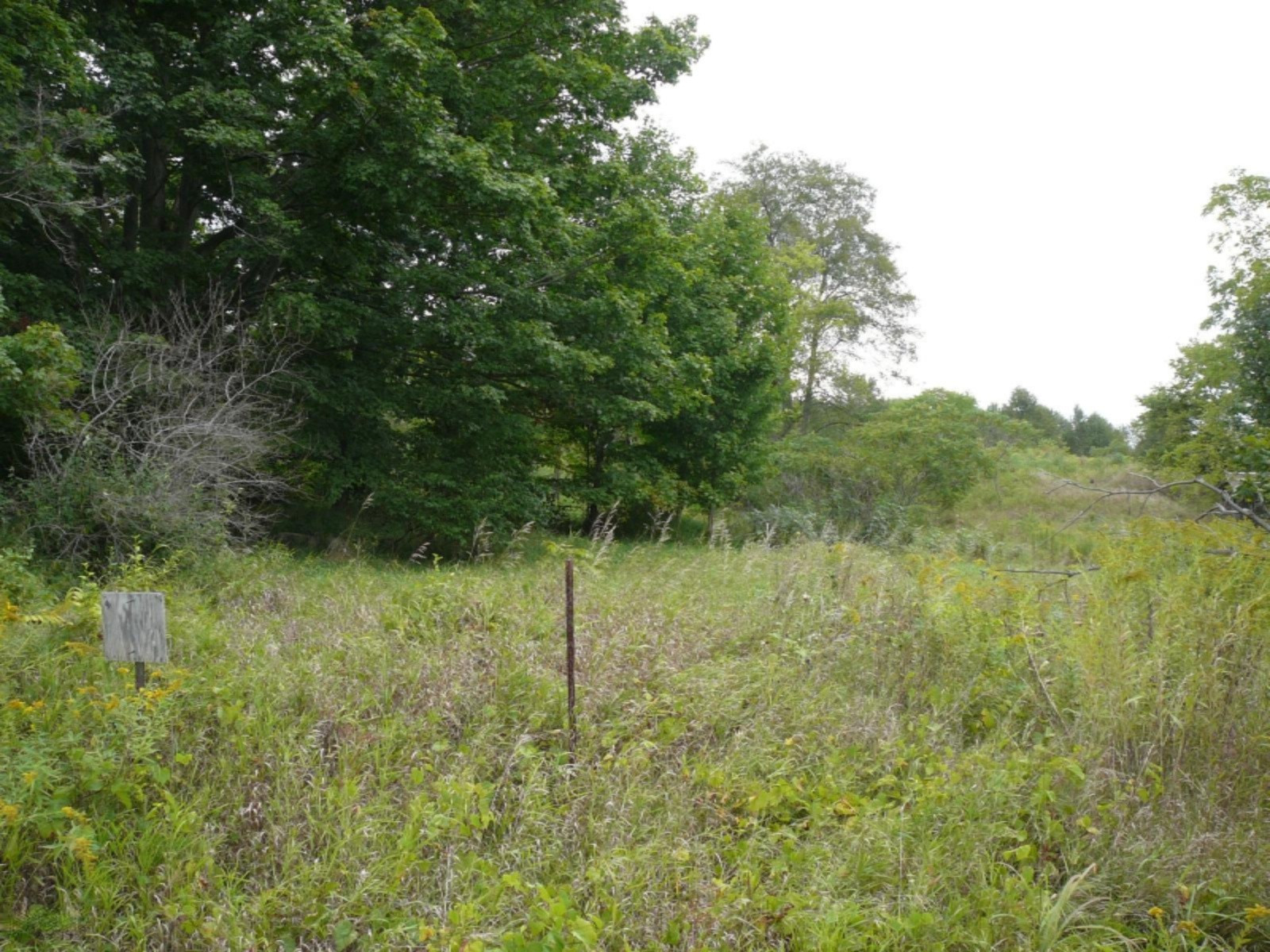 12262 Harder Road Three Rivers, MI 49093 - Photo 4 of 5 P1180515