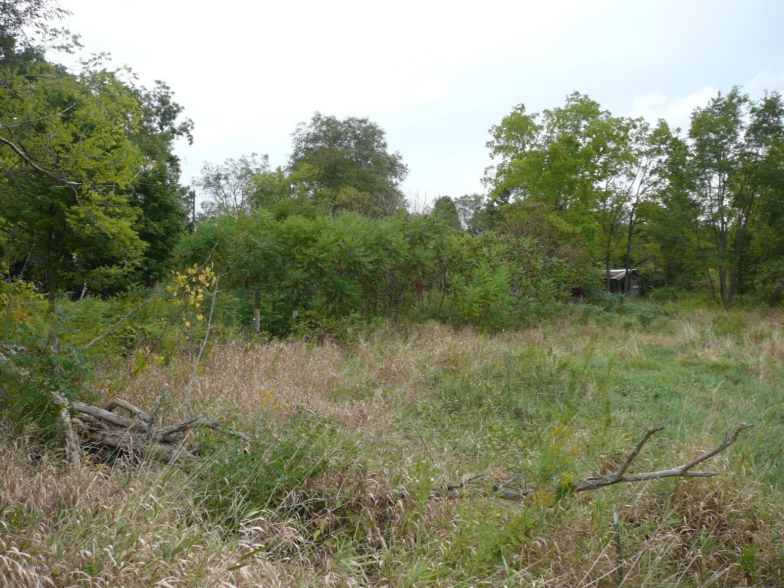 12262 Harder Road Three Rivers, MI 49093 - Photo 5 of 5 P1180517