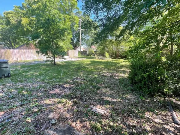 a view of a yard with a tree