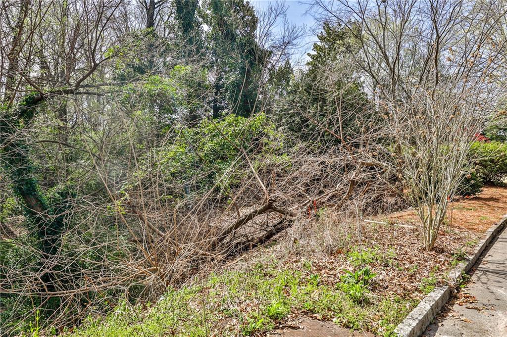 a view of a yard with a tree