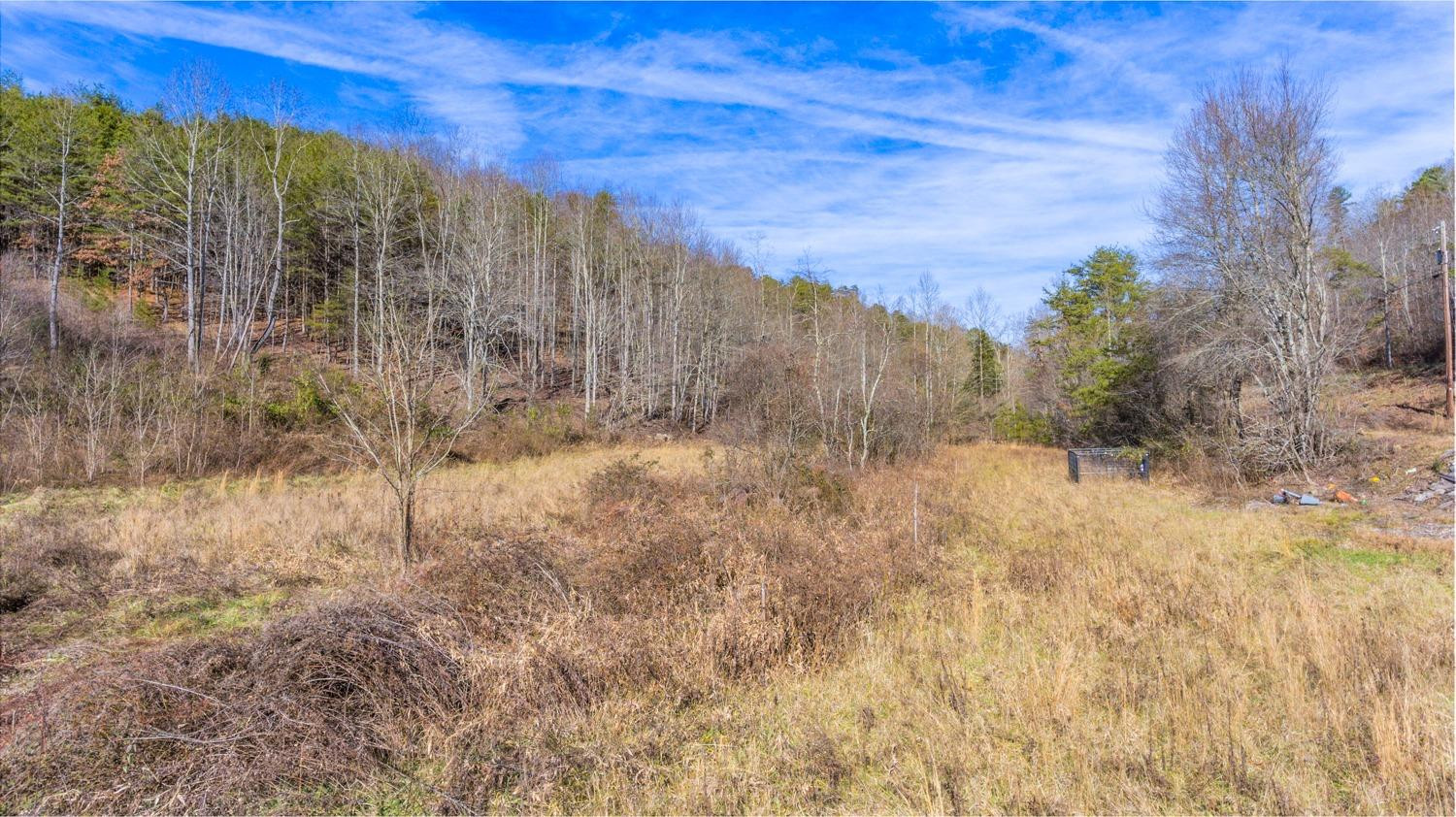 1077 Red Hill Road Livingston, KY 40445 - Photo 5 of 28 Listing Photo