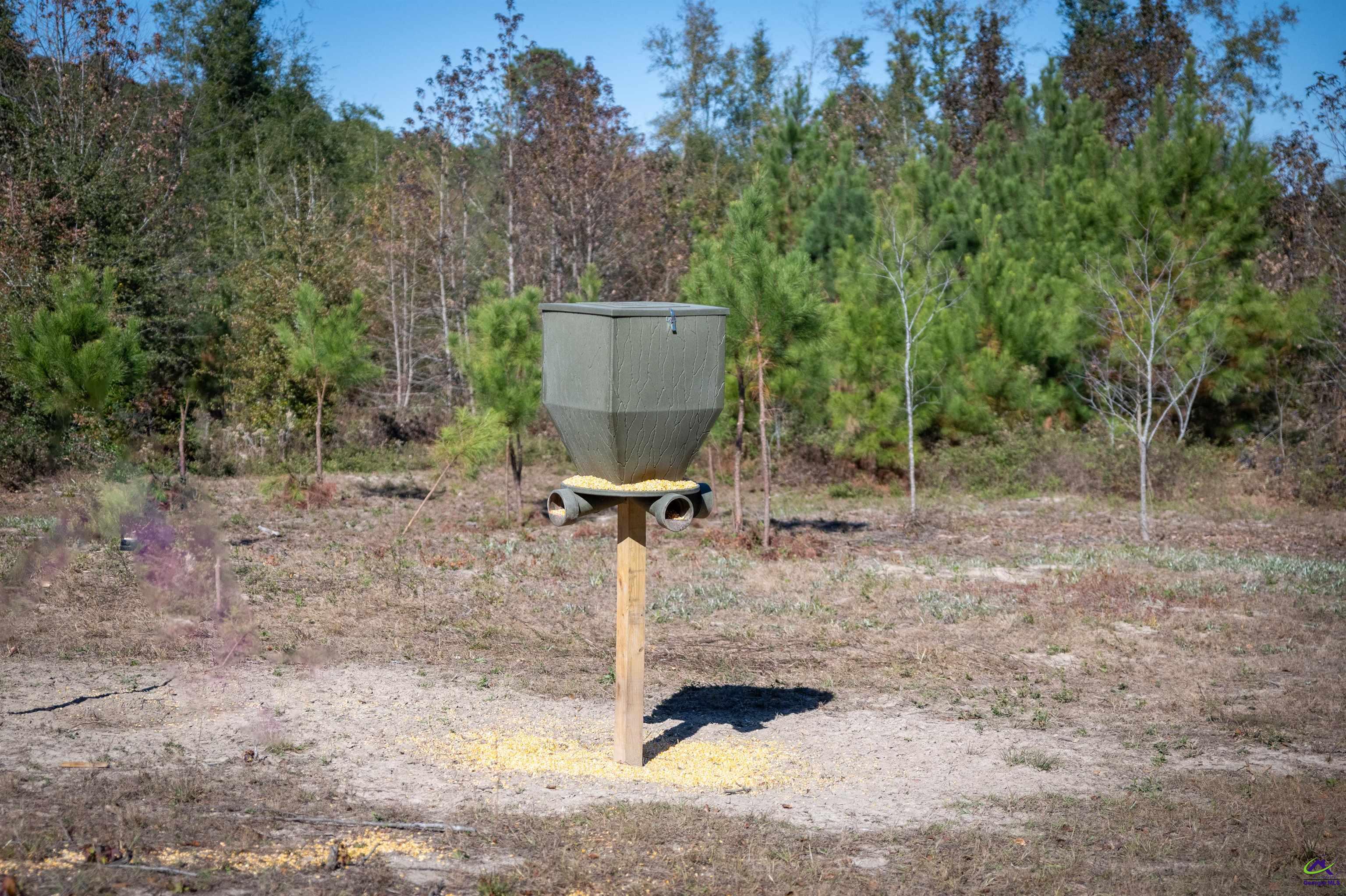 498 White Springs Church Road Gordon, GA 31031 - Photo 15 of 36 Gallery Image 15