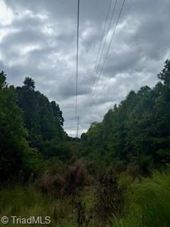 0 Virginia Branch Road Winston-Salem, NC 27127 - Photo 7 of 8