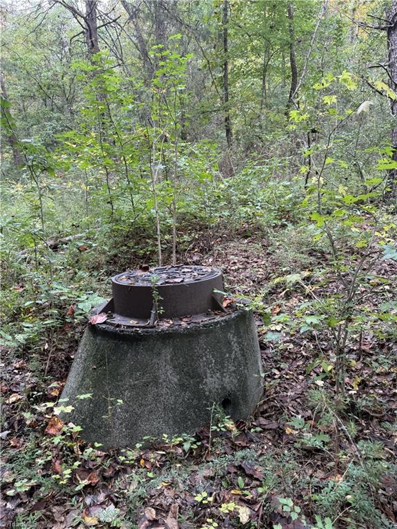 0 Virginia Branch Road Winston-Salem, NC 27127 - Photo 8 of 8