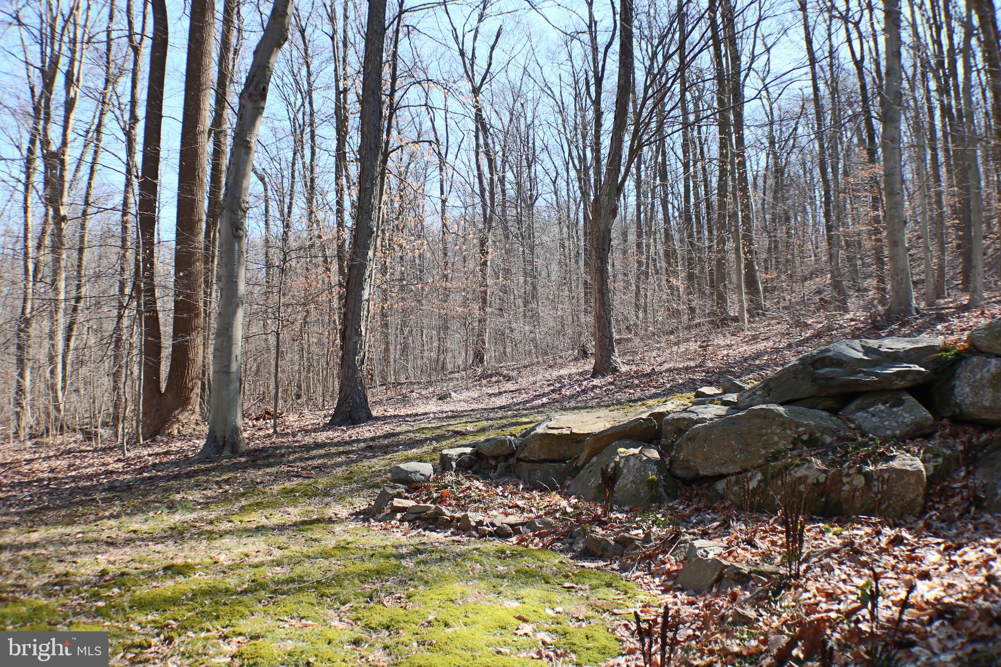 1258 Prizer Road Pottstown, PA 19465 - Photo 9 of 33 Gallery Image 9