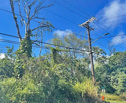 $22,000 | 1516 Lot, Pahoa, HI 96778