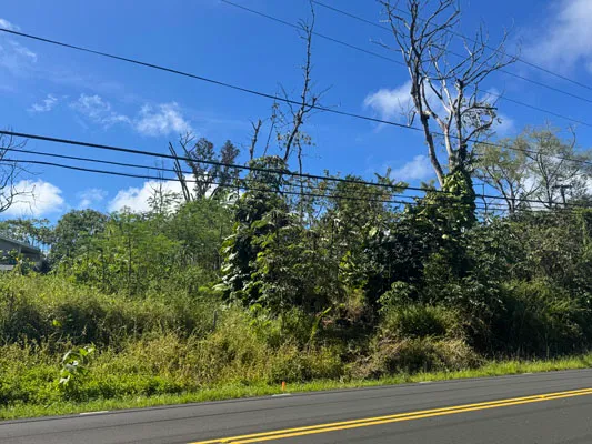$22,000 | 1516 Lot, Pahoa, HI 96778