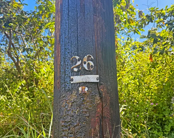 $22,000 | 1516 Lot, Pahoa, HI 96778