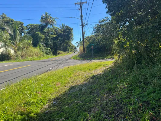 $22,000 | 1516 Lot, Pahoa, HI 96778