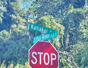 $22,000 | 1516 Lot, Pahoa, HI 96778