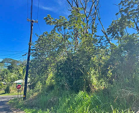 $22,000 | 1516 Lot, Pahoa, HI 96778