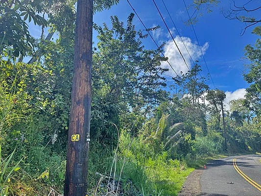 $22,000 | 1516 Lot, Pahoa, HI 96778