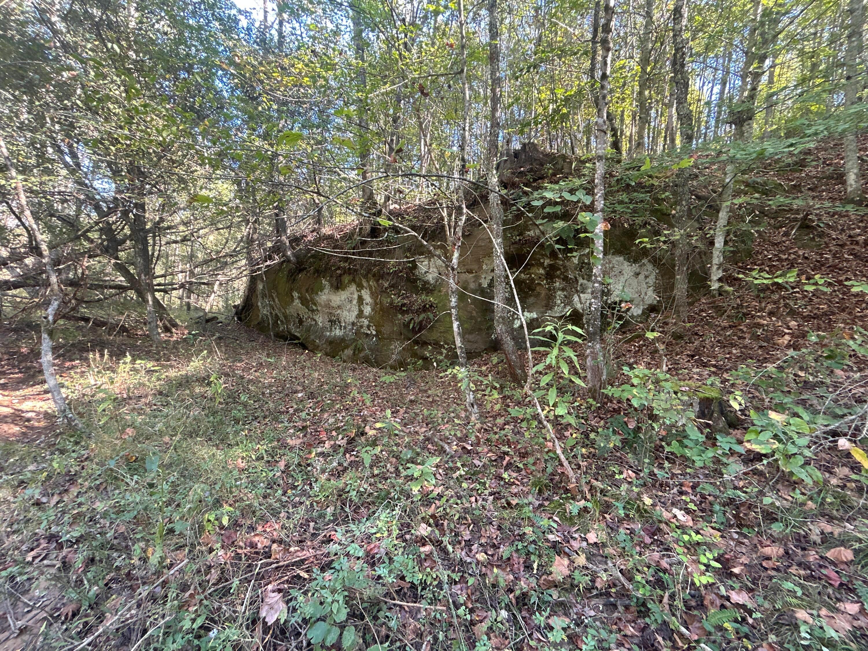 0 Dougan Road Patriot, OH 45658 - Photo 27 of 45 IMG_6047