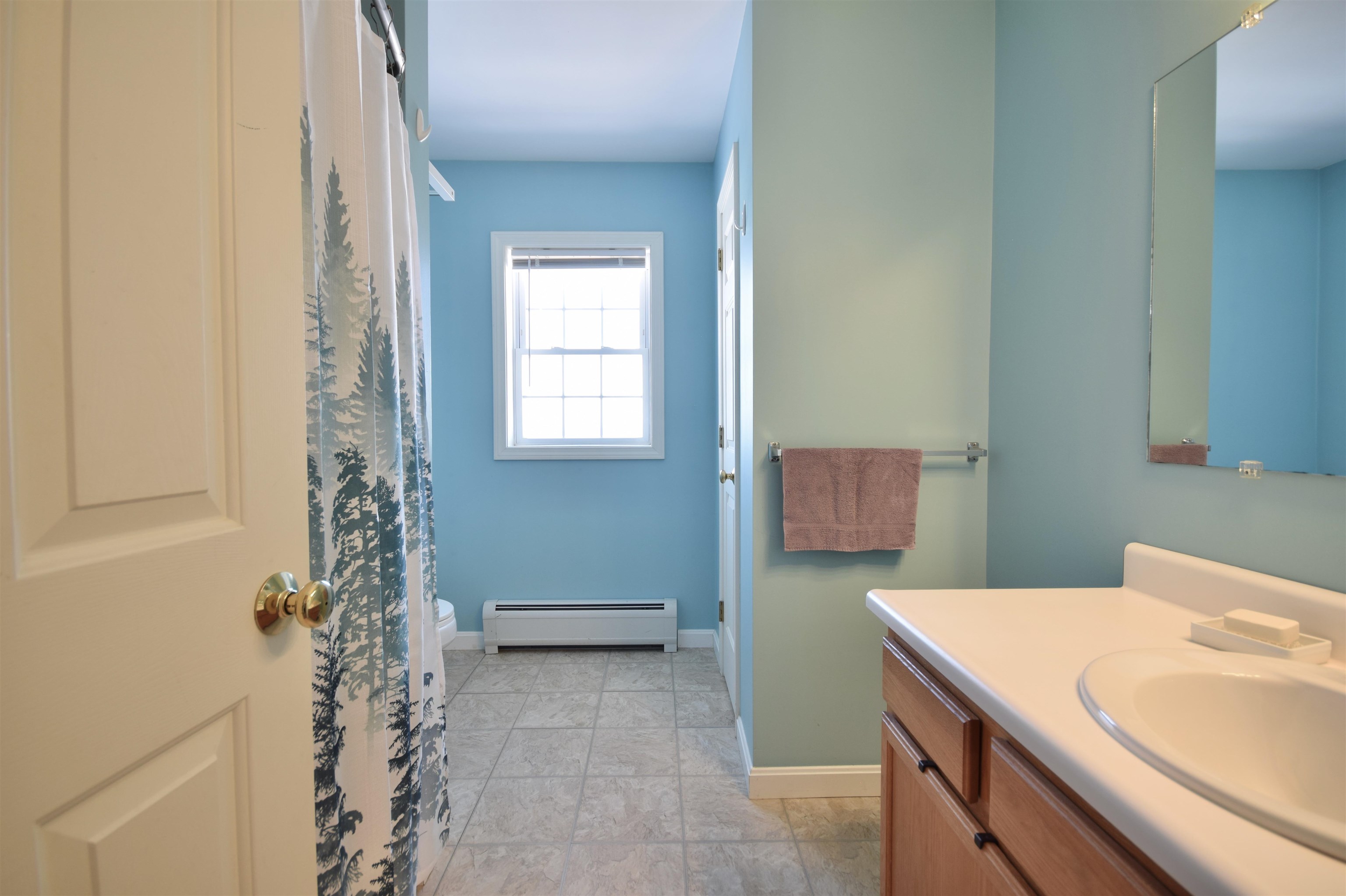 11 Steeplechase Lane Milton, VT 05468 - Photo 23 of 32