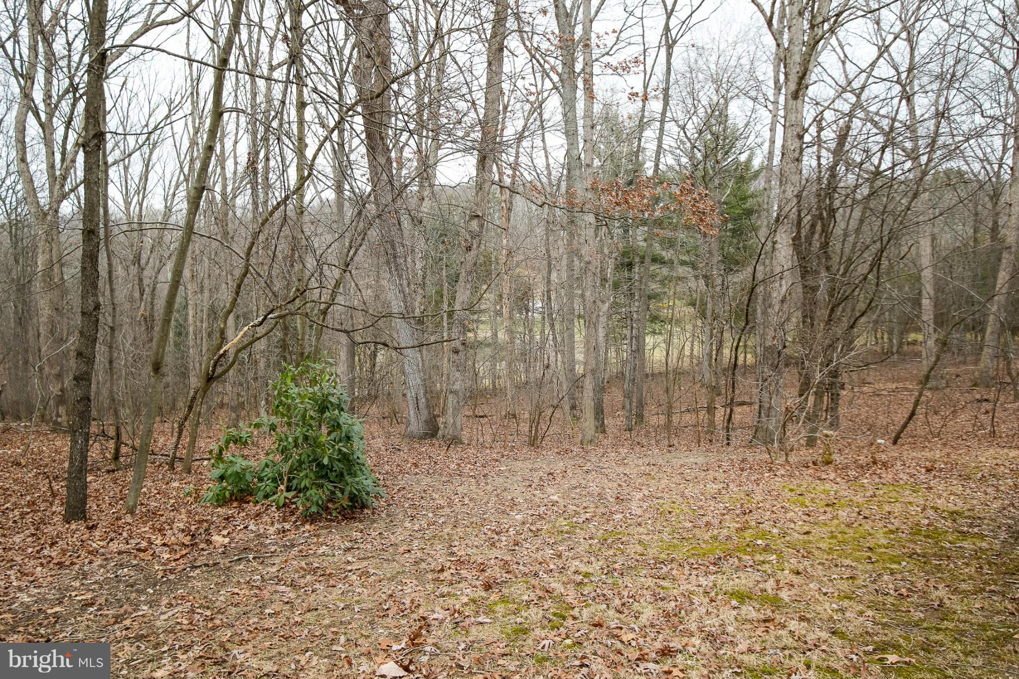 20004 Cameron Mill Road Parkton, MD 21120 - Photo 25 of 30 Exterior (General)
