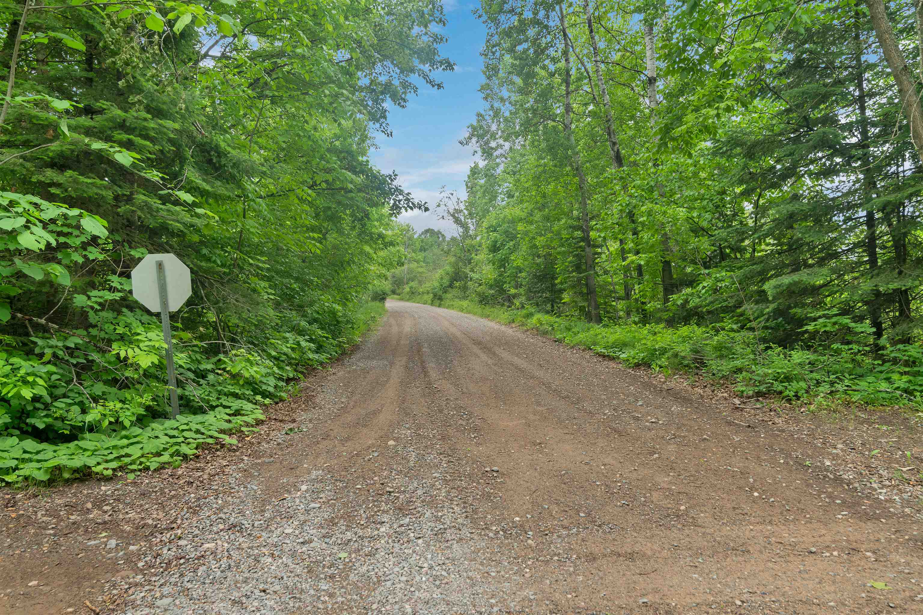 3159 Williams Road Long Lake, WI 54542 - Photo 63 of 90