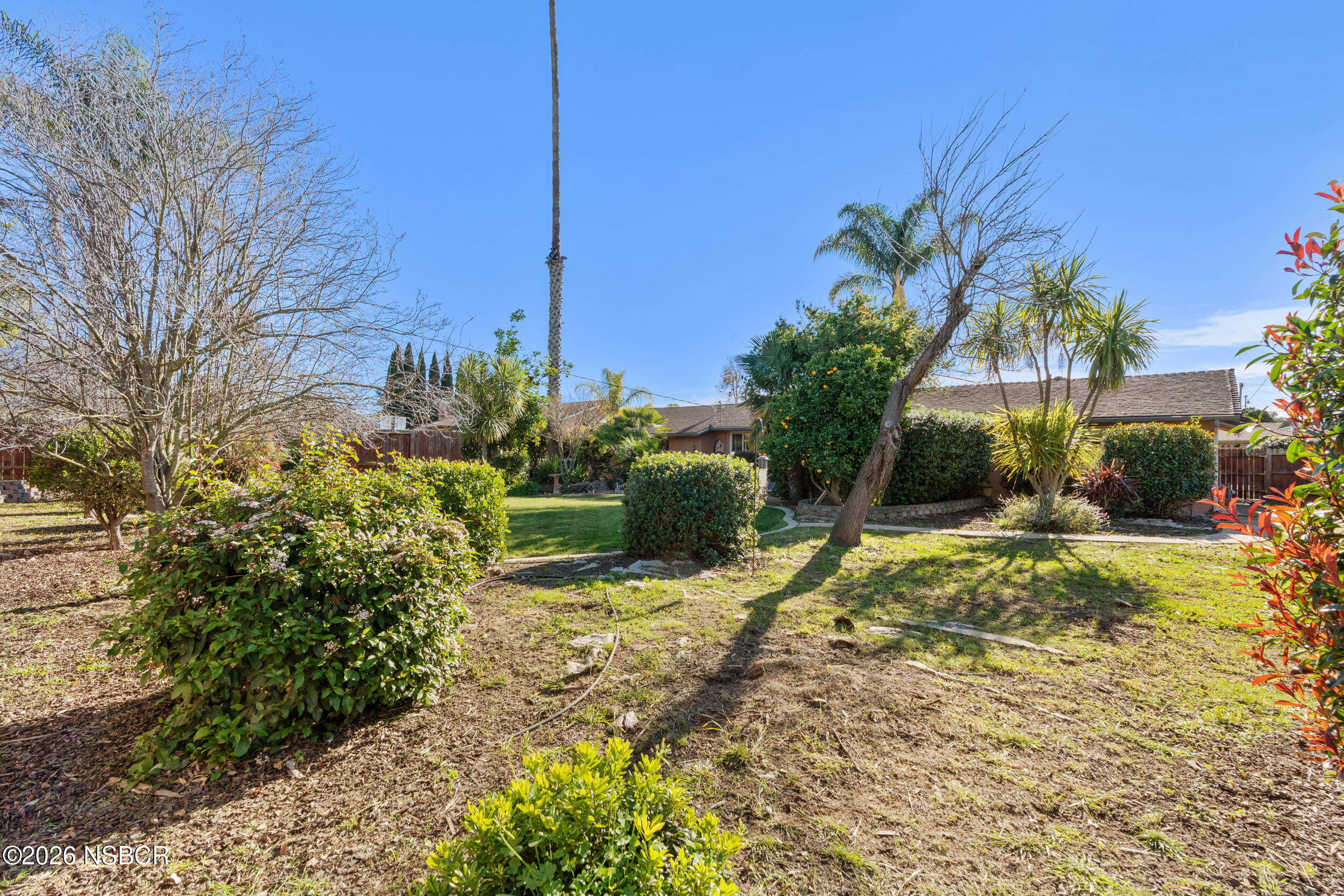 1157 Glines Avenue Santa Maria, CA 93455 - Photo 37 of 41 a view of a yard with plants