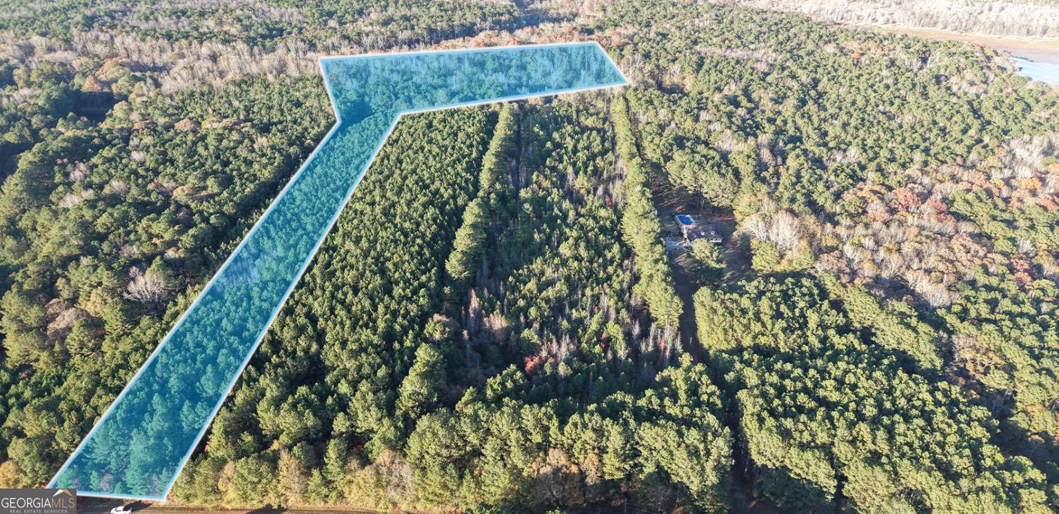 Lot #1 South Hampton Annex Hampton, GA 30228 - Photo 2 of 4