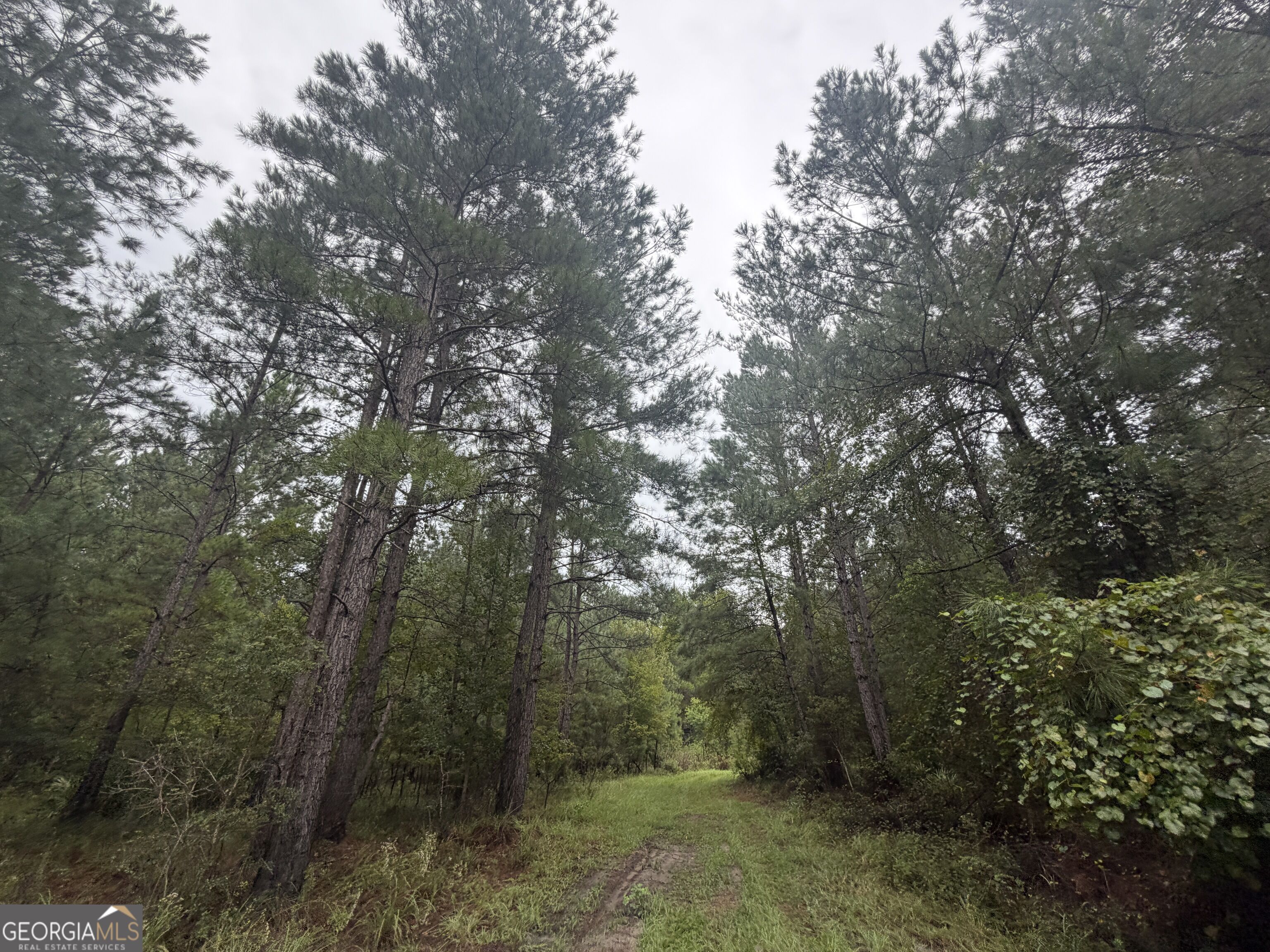 0 Jamestown Road Waycross, GA 31503 - Photo 27 of 92 Gallery Image 27