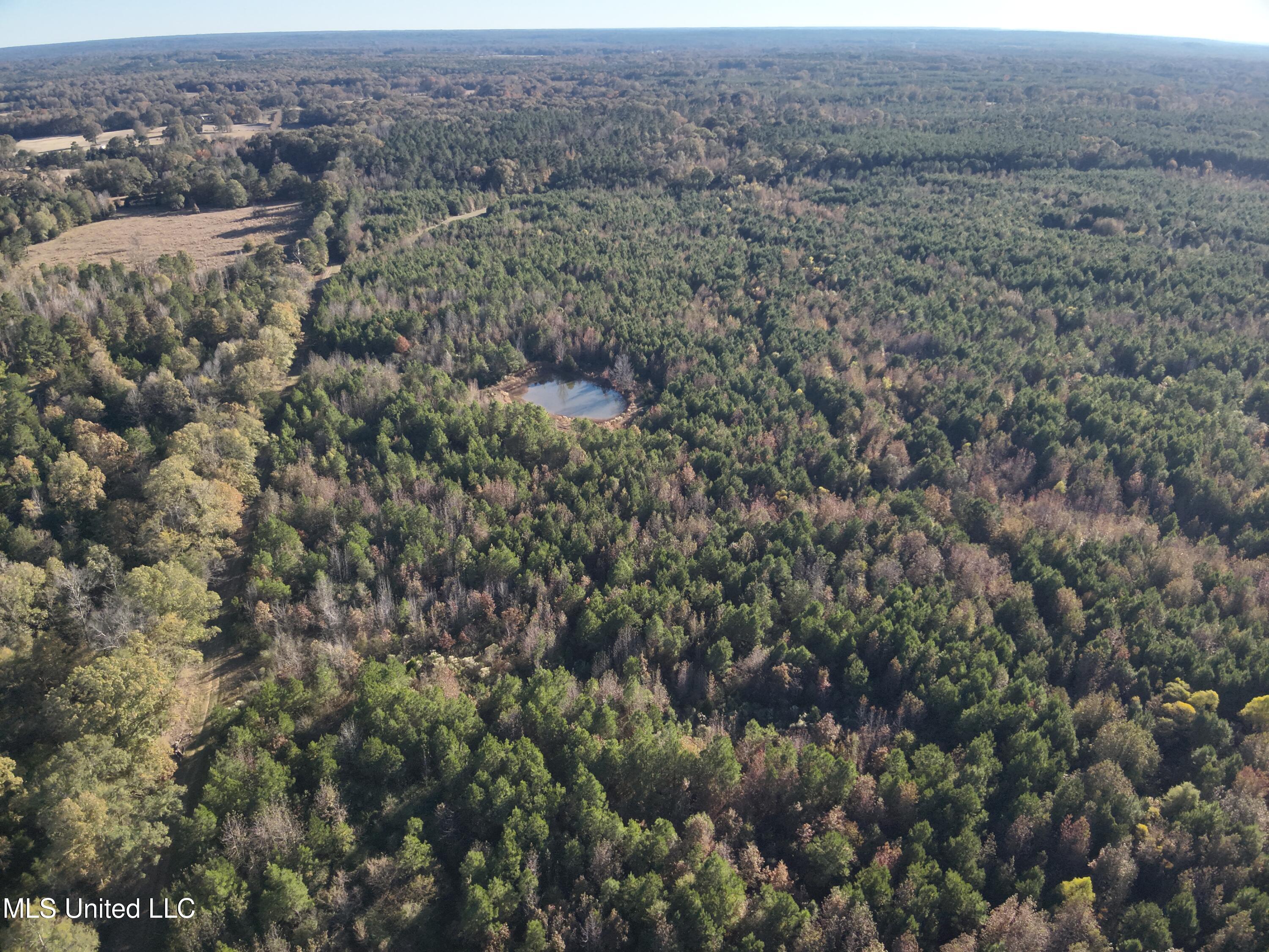 Tank Road Crystal Springs, MS 39059 - Photo 11 of 42 DJI_20251111152846_0010_V