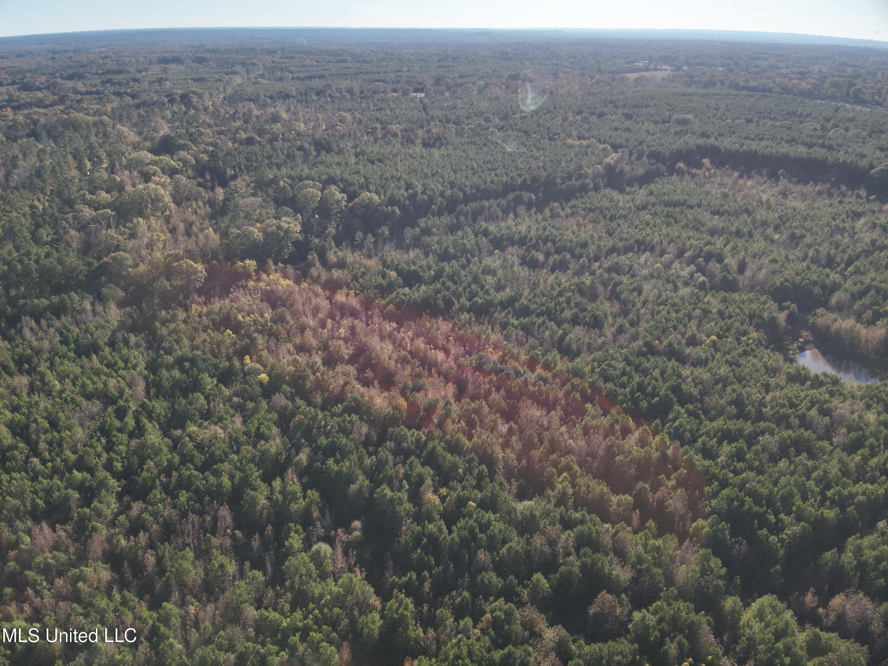Tank Road Crystal Springs, MS 39059 - Photo 12 of 42 DJI_20251111152920_0014_V