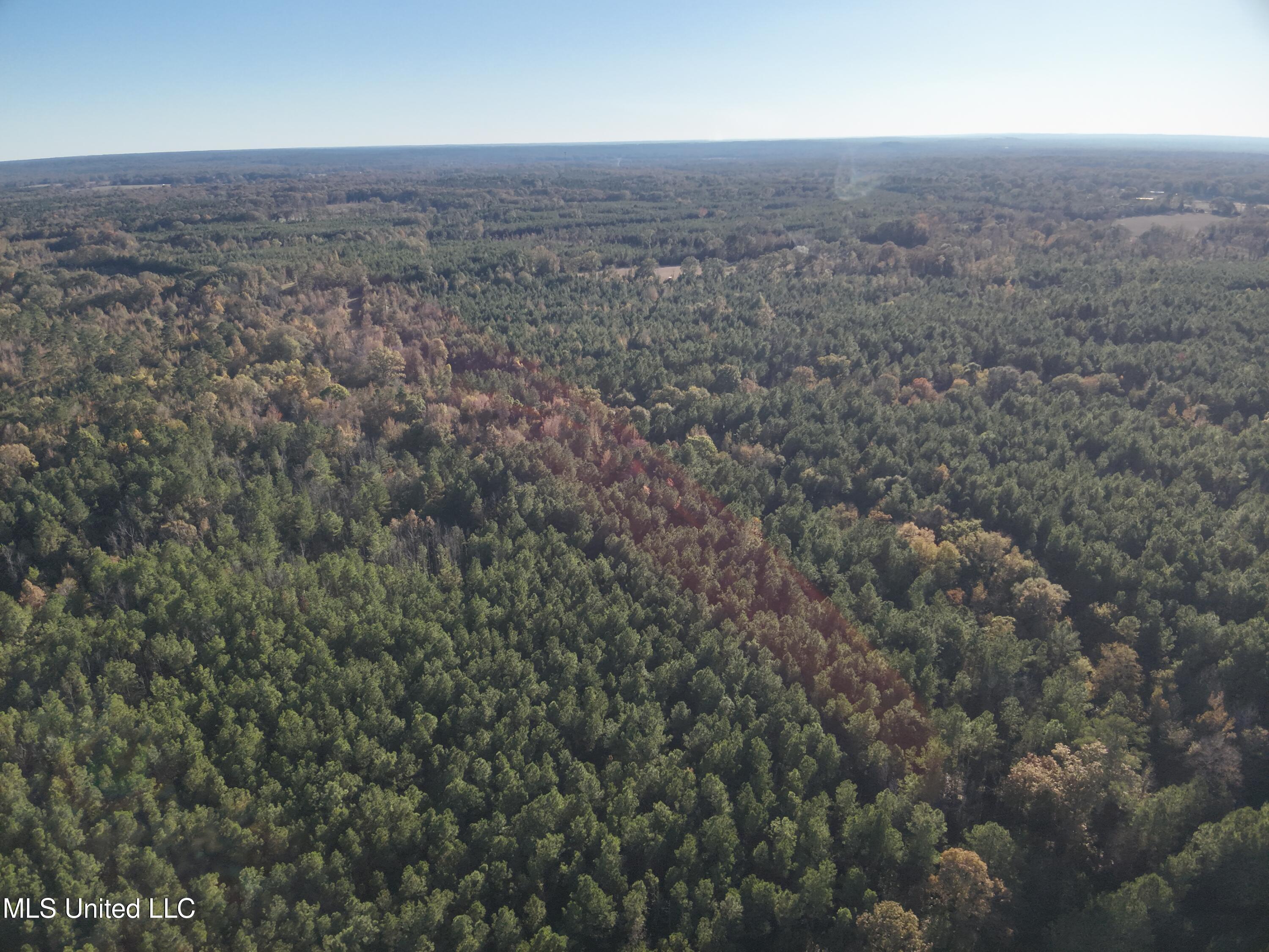 Tank Road Crystal Springs, MS 39059 - Photo 13 of 42 DJI_20251111152957_0018_V