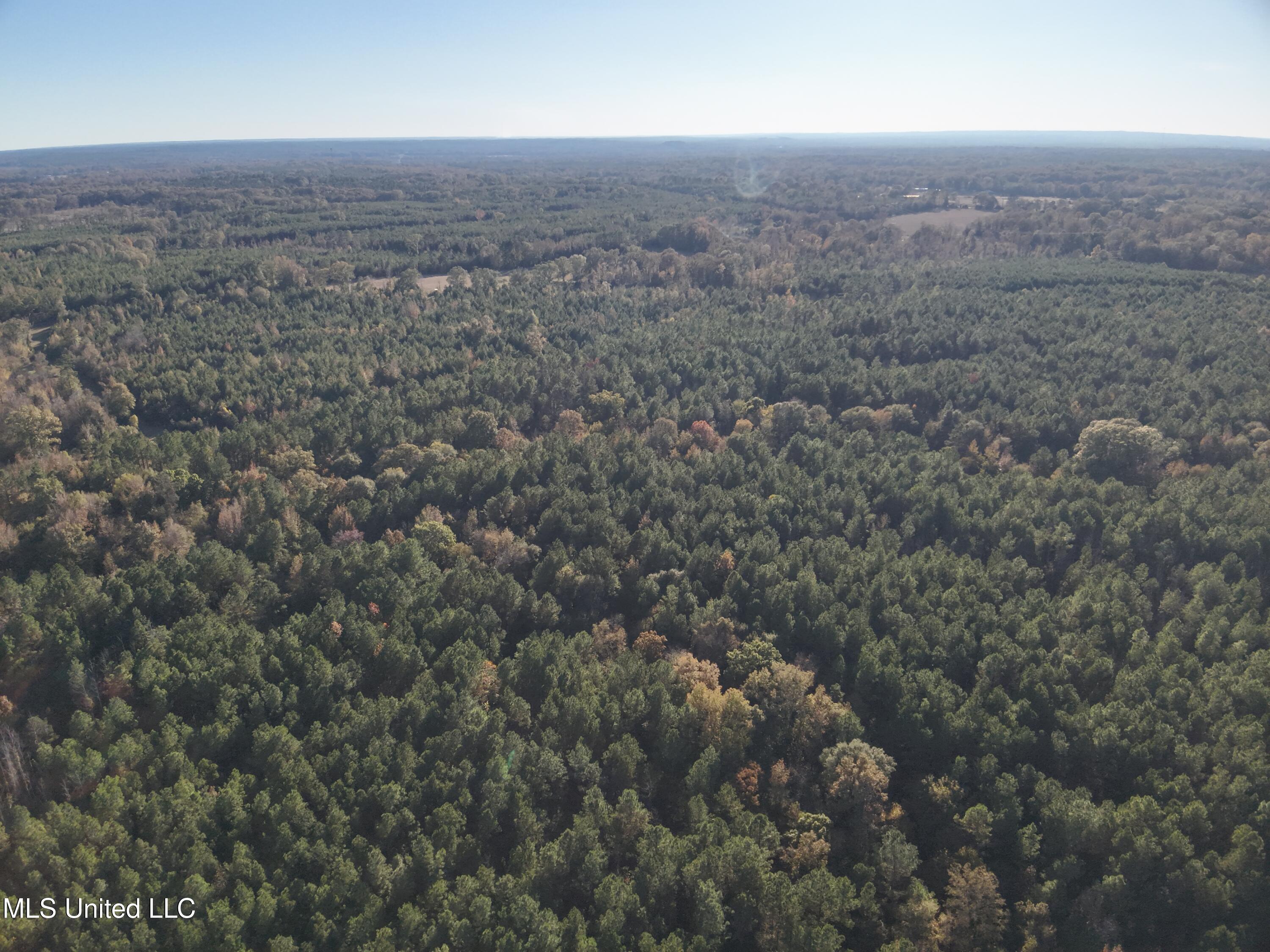 Tank Road Crystal Springs, MS 39059 - Photo 14 of 42 DJI_20251111153004_0019_V