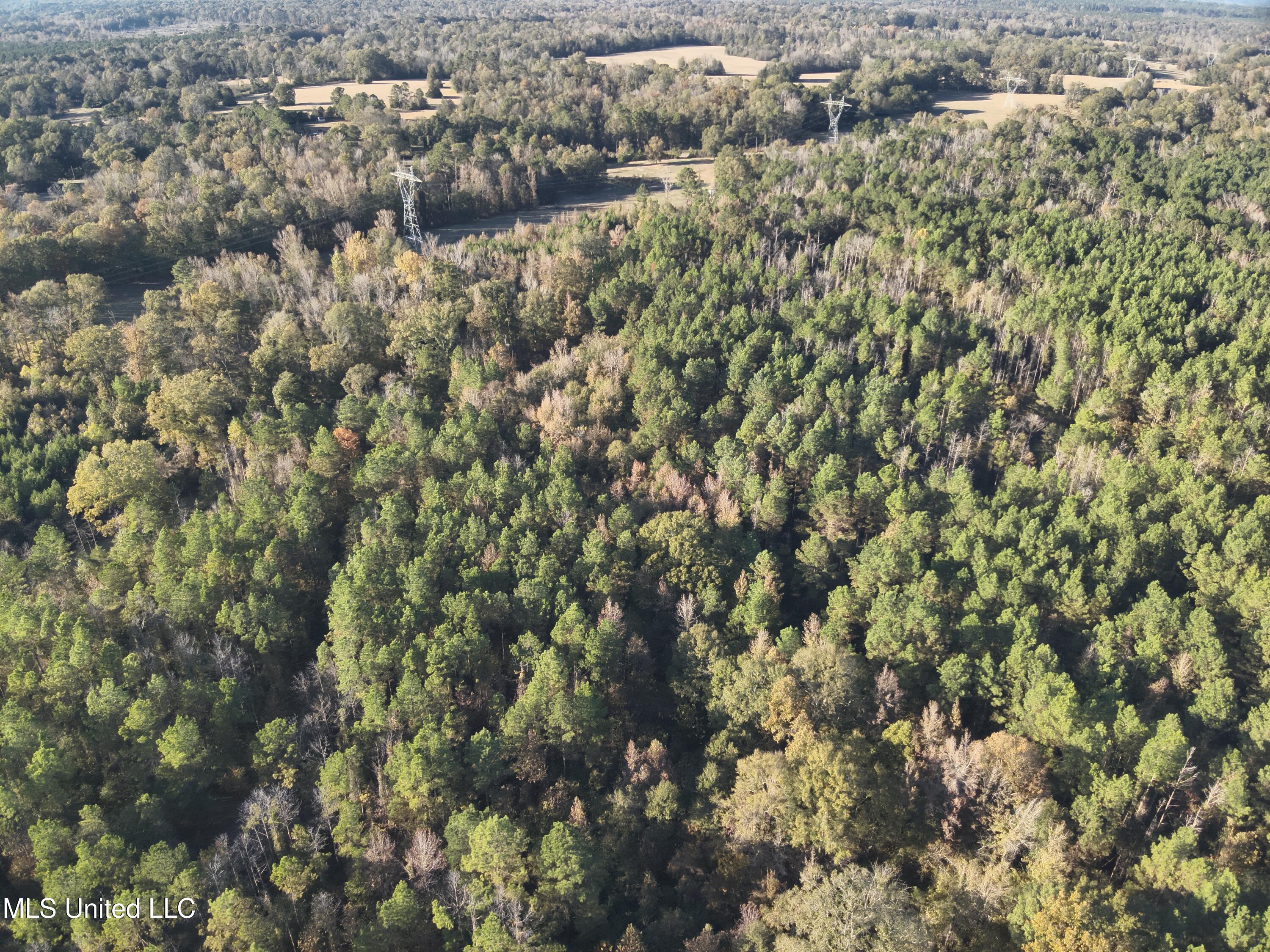 Tank Road Crystal Springs, MS 39059 - Photo 17 of 42 DJI_20251111153040_0027_V