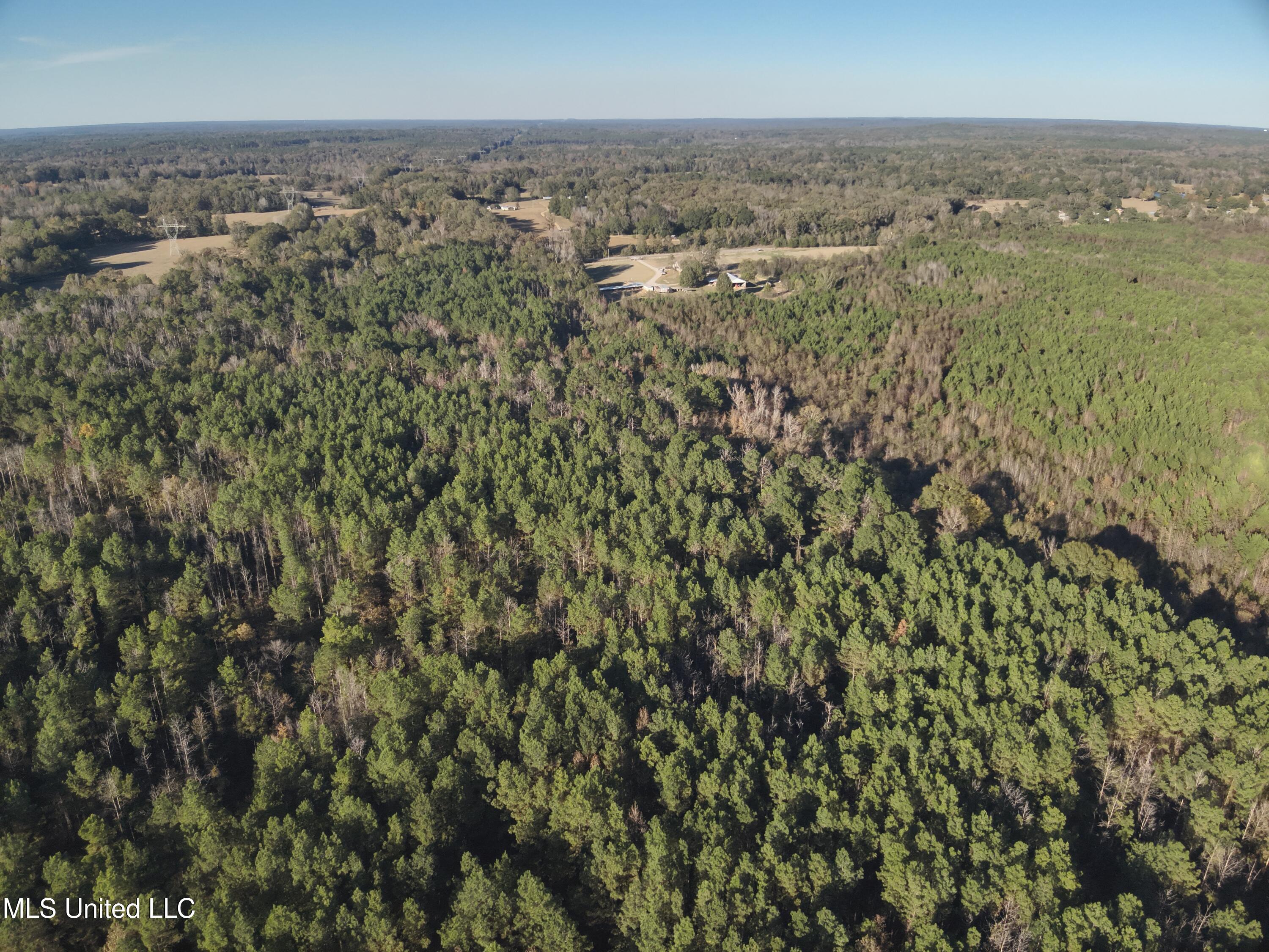 Tank Road Crystal Springs, MS 39059 - Photo 18 of 42 DJI_20251111153048_0028_V