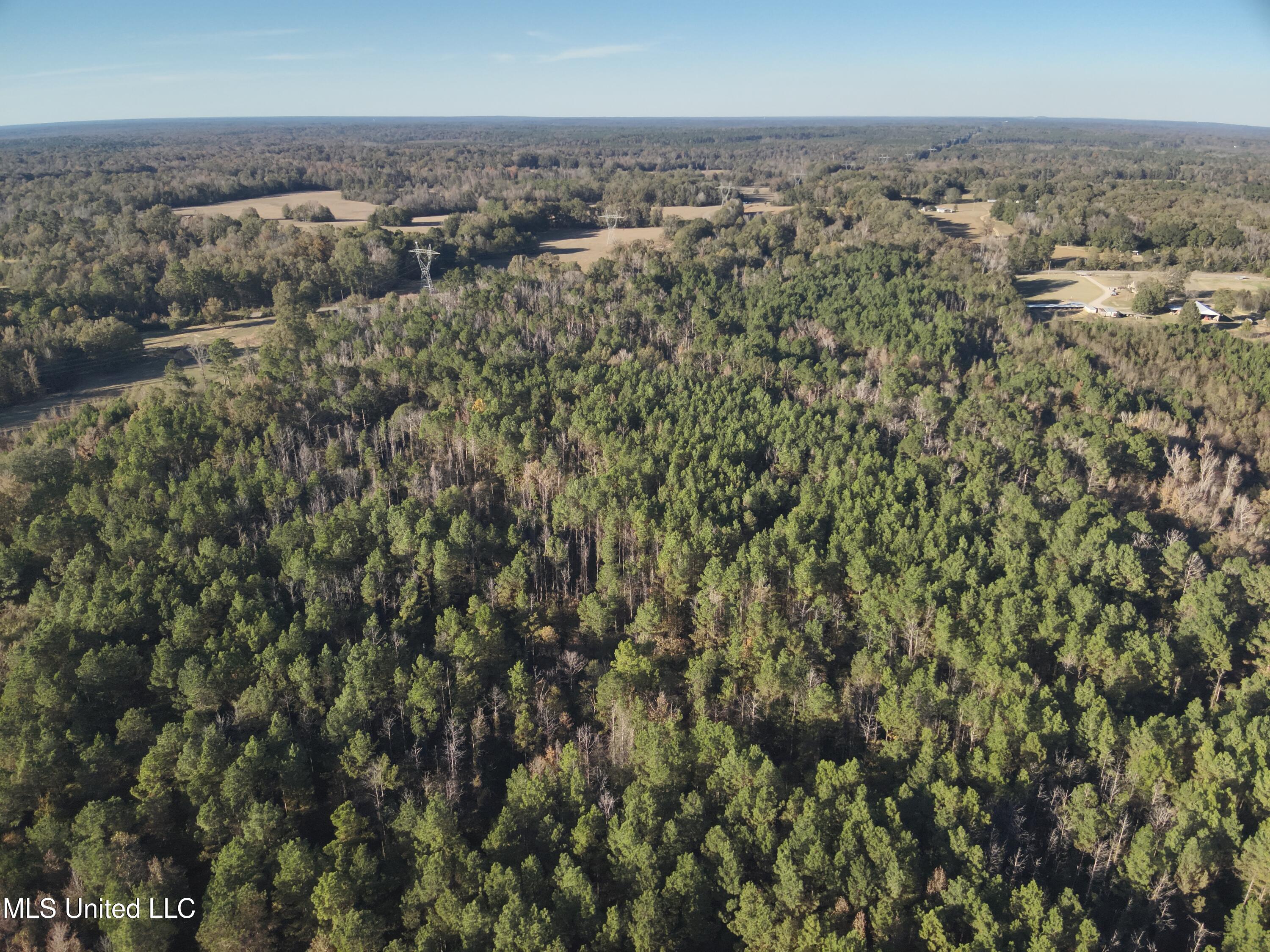 Tank Road Crystal Springs, MS 39059 - Photo 19 of 42 DJI_20251111153050_0029_V