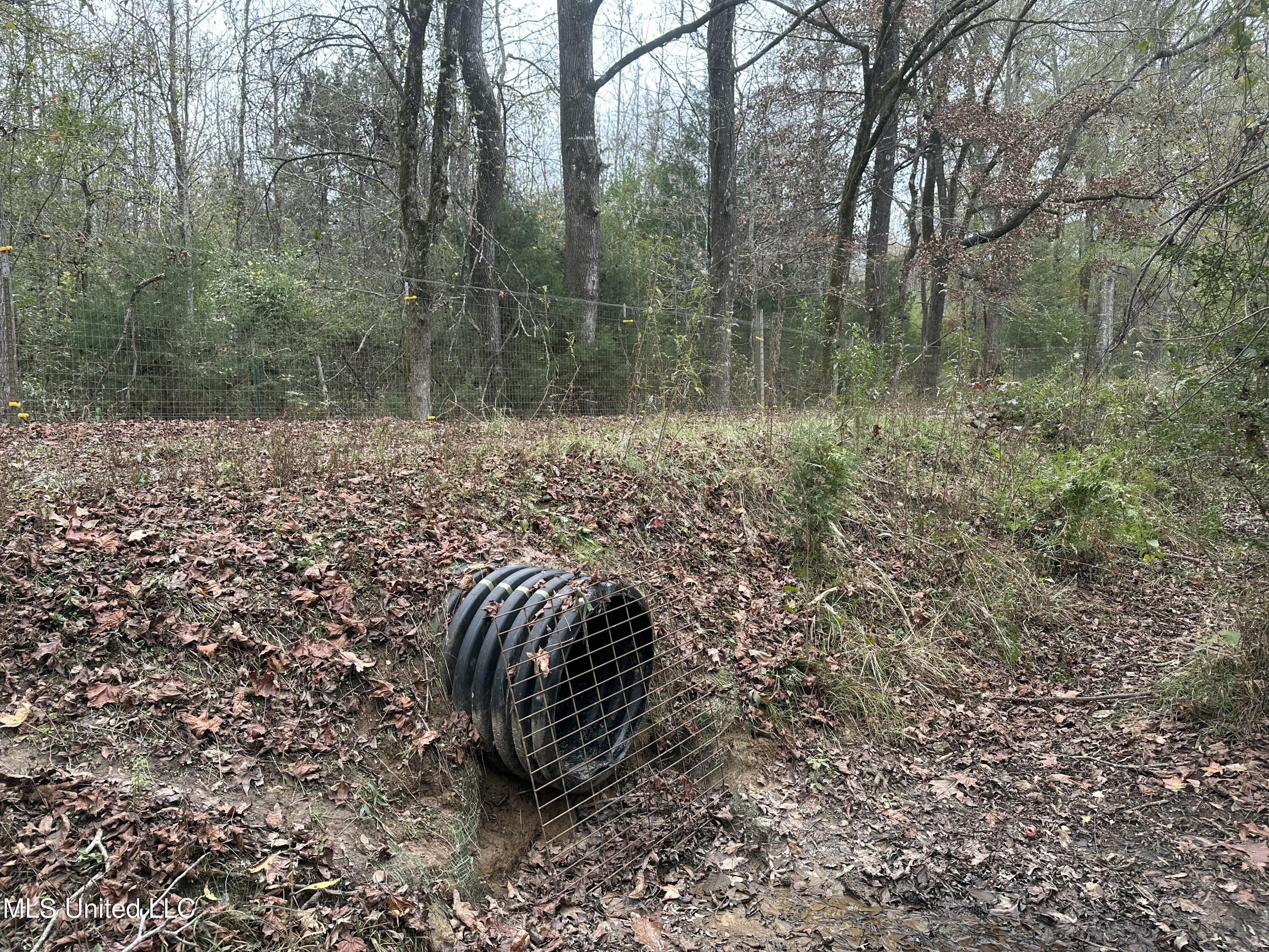 Tank Road Crystal Springs, MS 39059 - Photo 21 of 42 IMG_3884