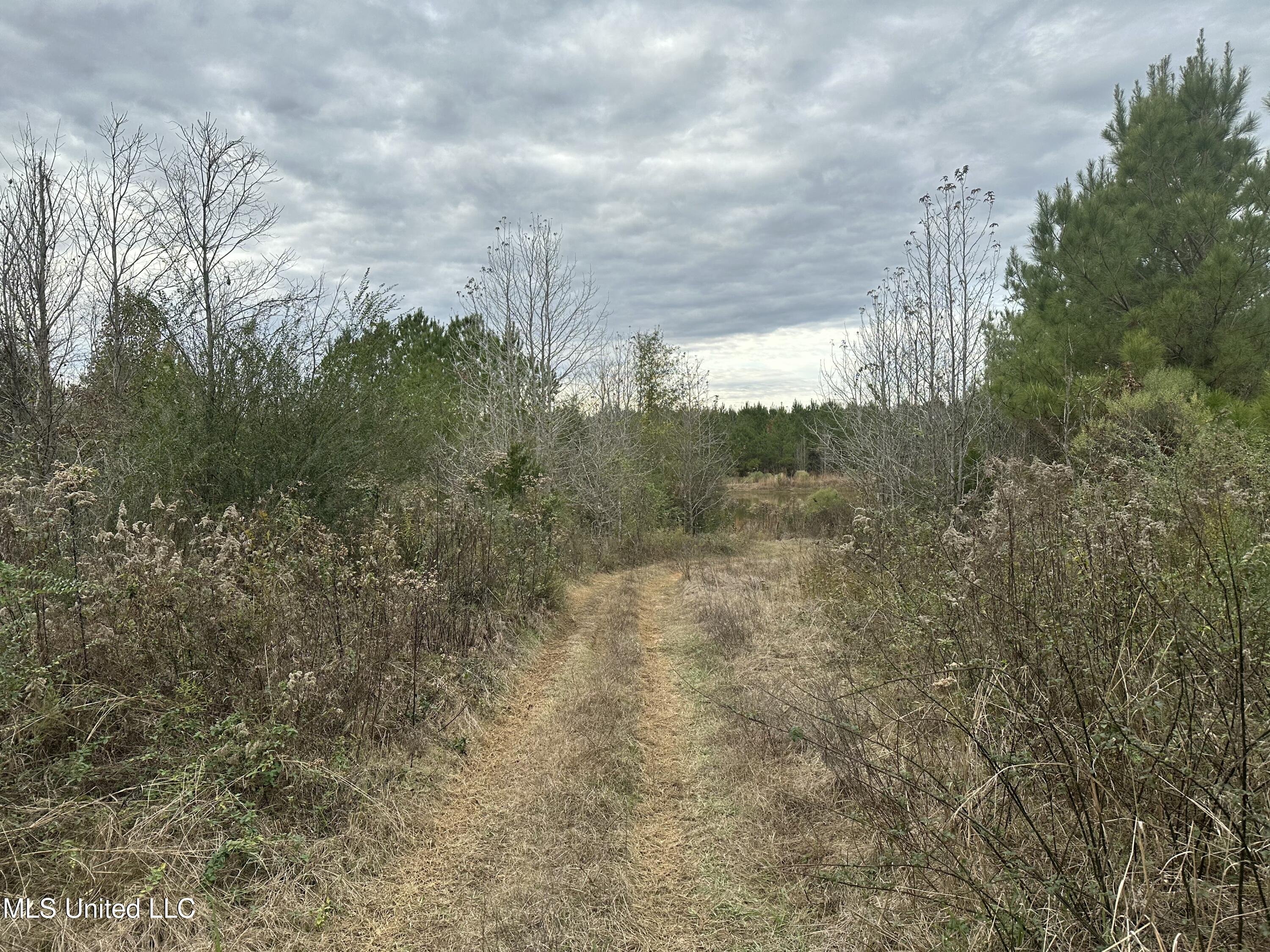 Tank Road Crystal Springs, MS 39059 - Photo 22 of 42 IMG_3885