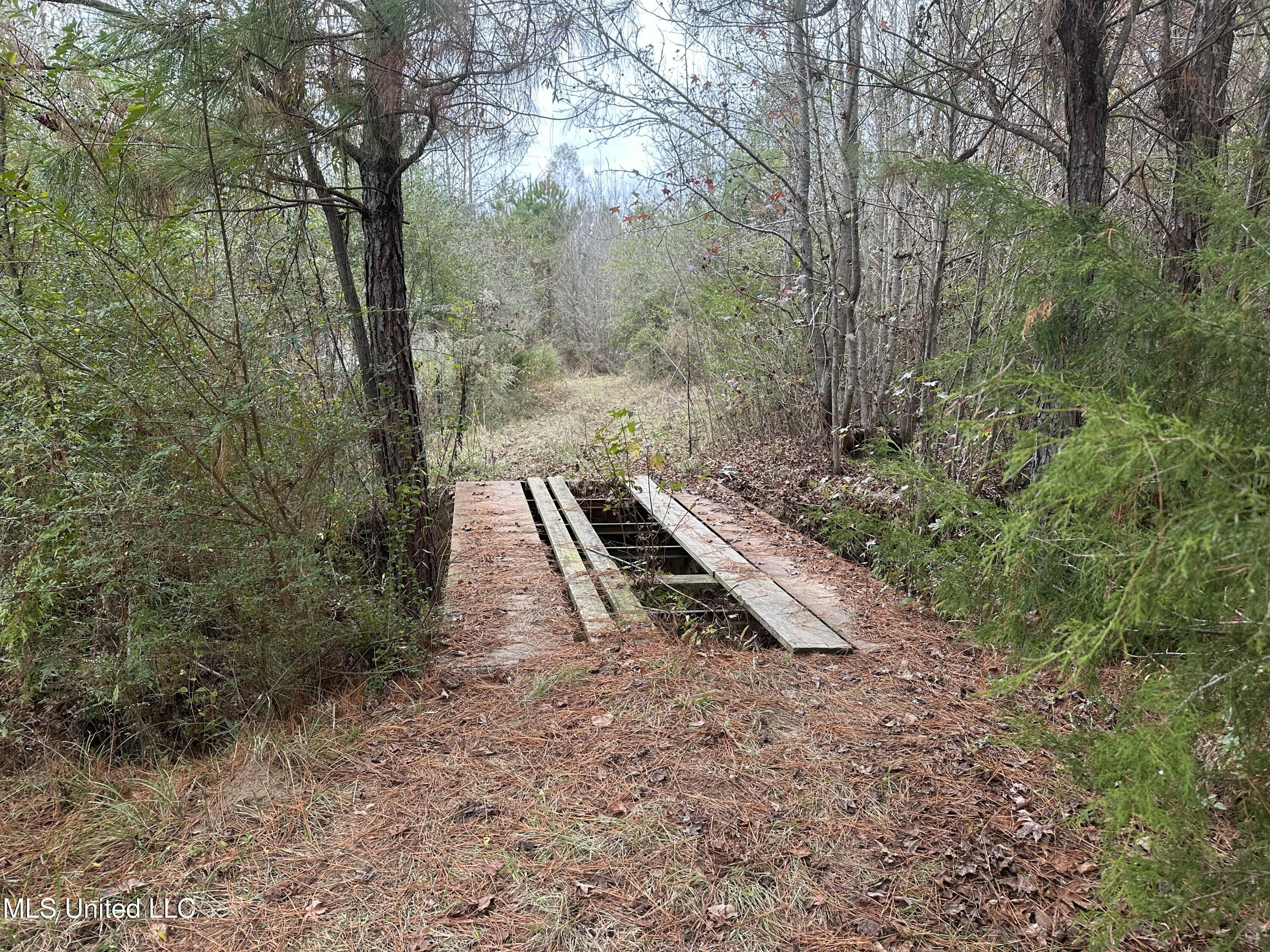 Tank Road Crystal Springs, MS 39059 - Photo 23 of 42 IMG_3888